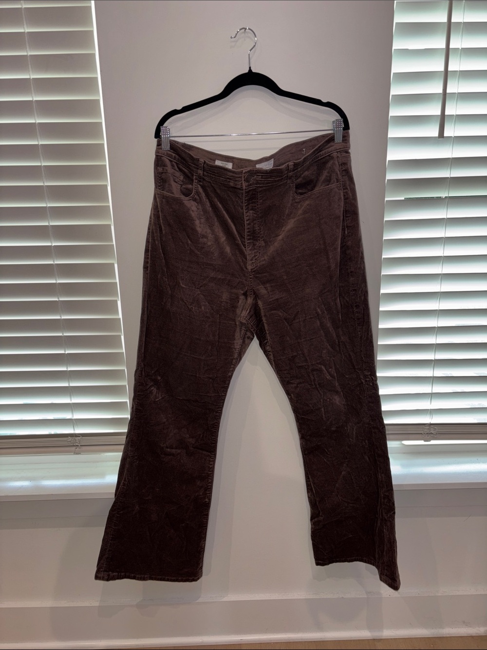 LOFT Flare Pants
